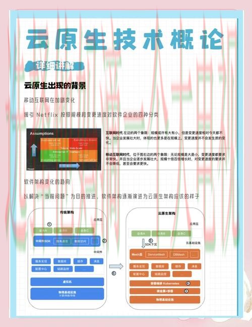 全新解读开云综合版功能