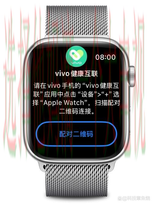全面解析V体育手机APP功能与优势